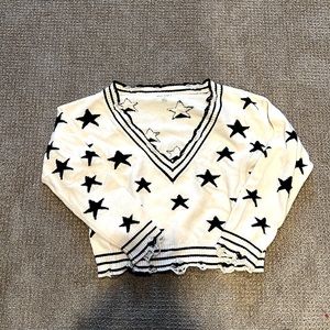 Wild Honey V neck sweater